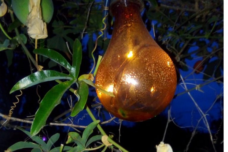 Hanging Solar Lamps for Garden and Patio Colorful