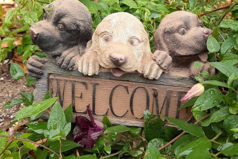 Solar Powered Sign Light Welcome Garden