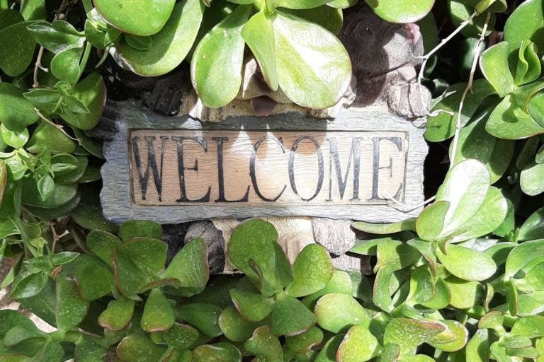 Solar Yard Sign Bear Welcome Figurine Light