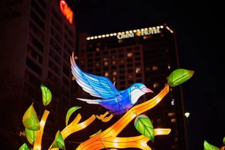 Solar Lanterns Decorated with Birds Hanging Ground