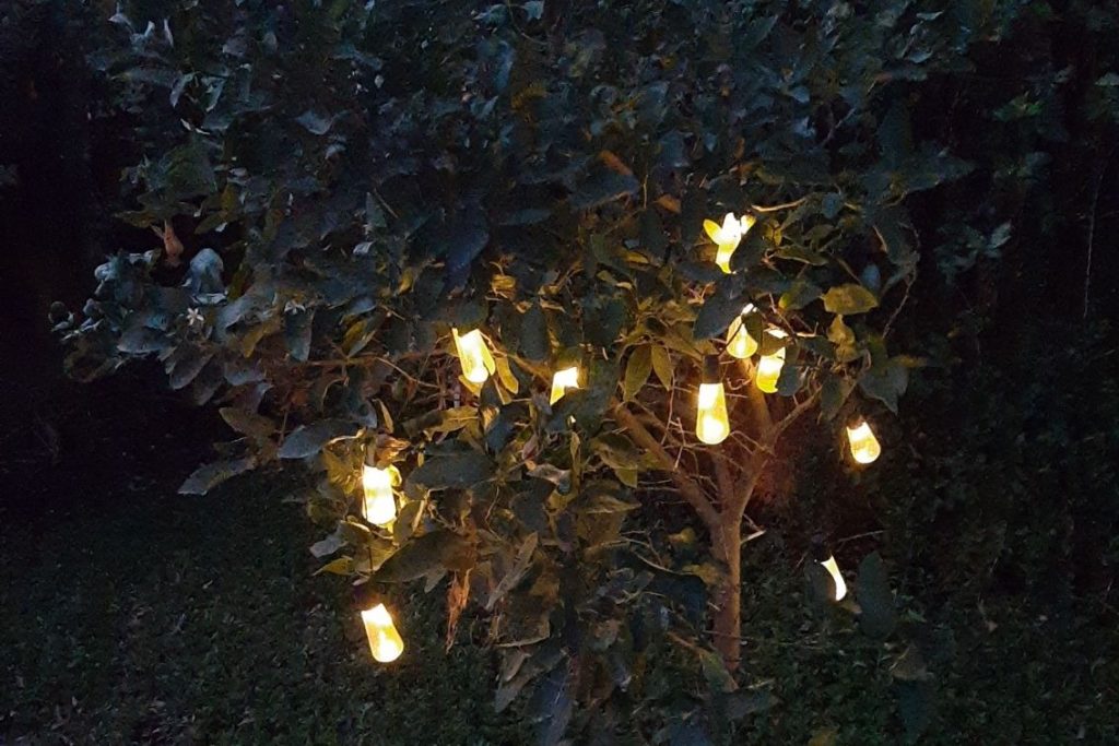 Brightech Ambience Pro Solar Outdoor String Lights Review